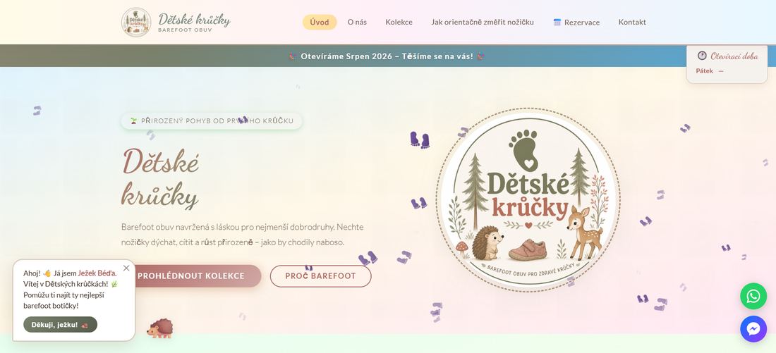 Web Dětské krůčky — úvodní stránka